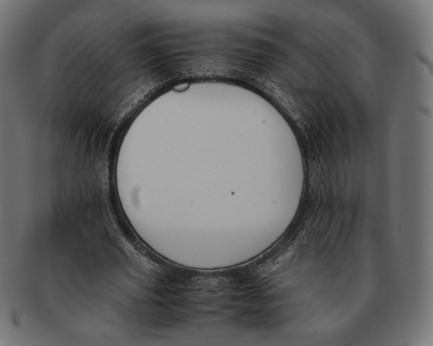 X0000091220629200709061500