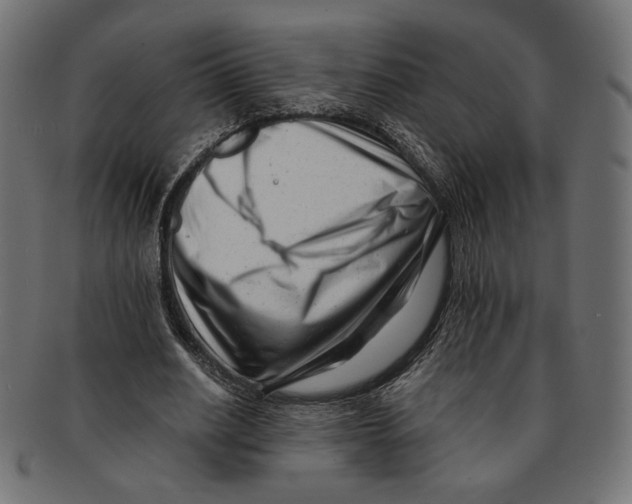 X0000091220630200709061500