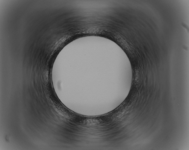 X0000091220636200709061500