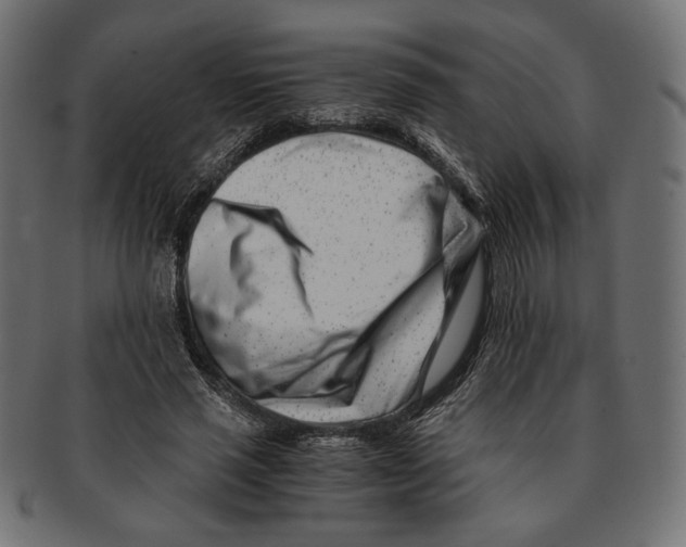 X0000091220637200709061500