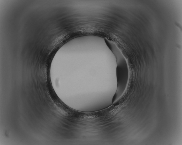 X0000091220638200709061500