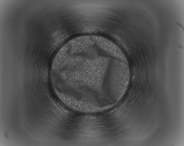 X0000091220640200709061500