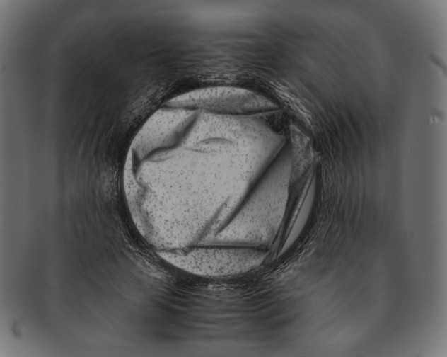 X0000091220641200709061500