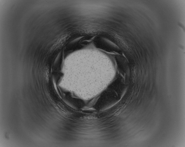 X0000091220644200709061500