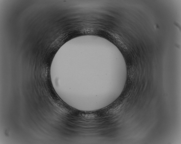 X0000091220645200709061500