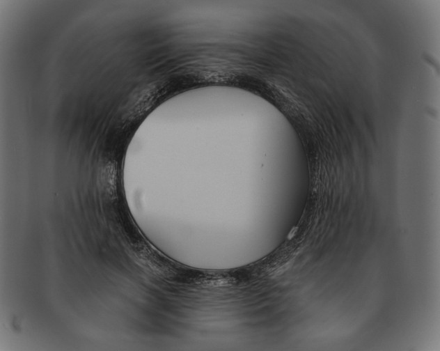 X0000091220646200709061500