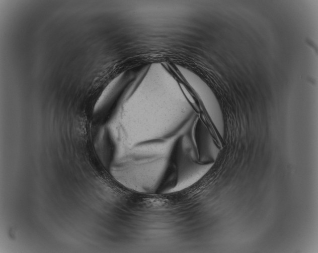 X0000091220654200709061500