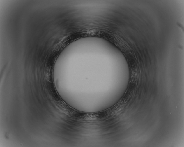 X0000091220656200709061500