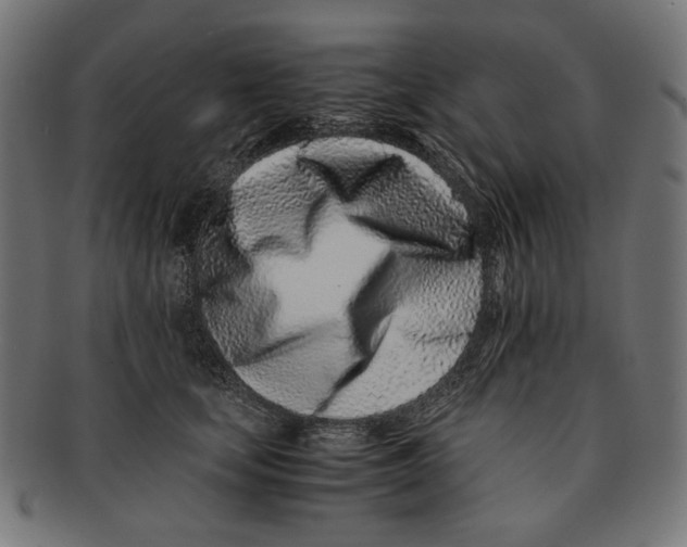 X0000091220659200709061500