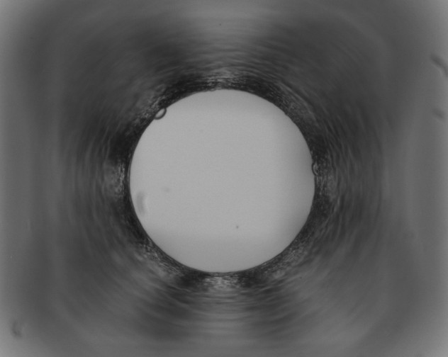 X0000091220660200709061500