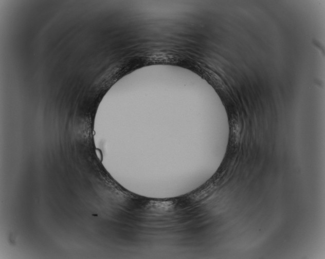 X0000091220665200709061501