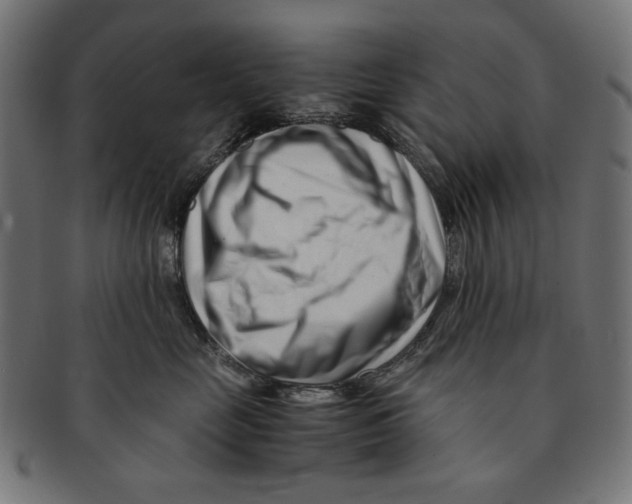 X0000091220669200709061501