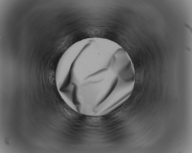 X0000091220671200709061501