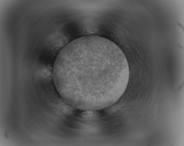 X0000091220672200709061501