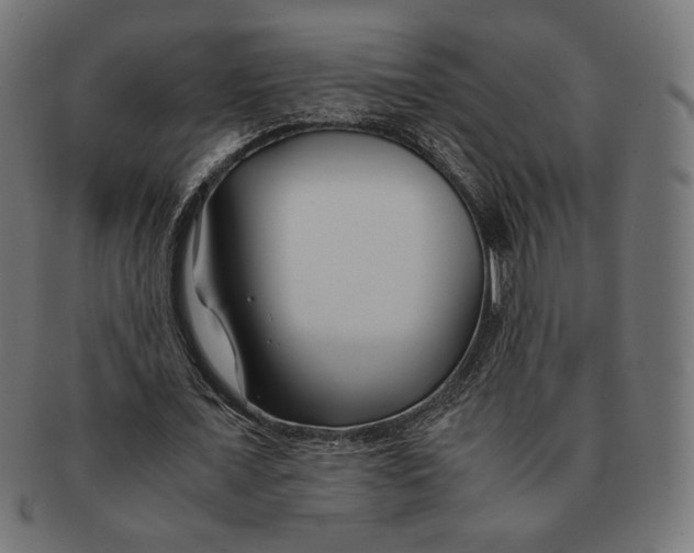 X0000091220675200709061500