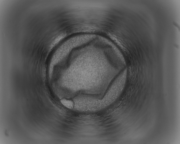 X0000091220679200709061500