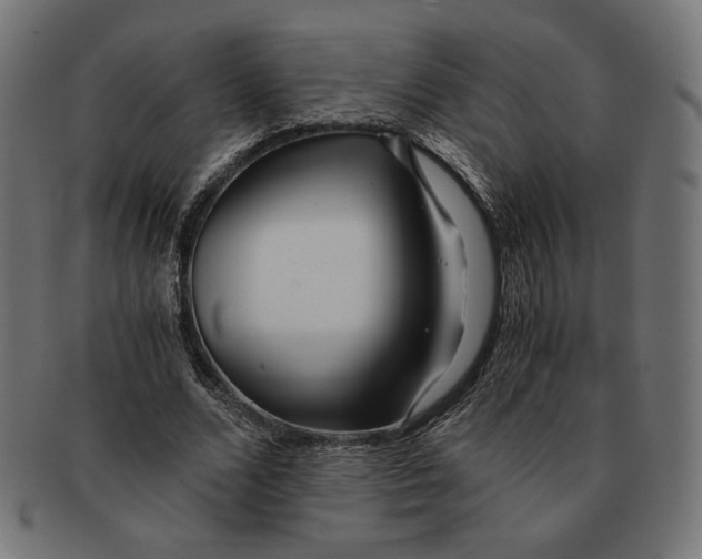 X0000091220680200709061500