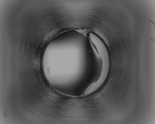 X0000091220681200709061500