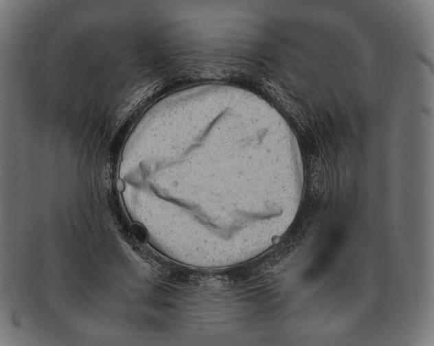 X0000091220683200709061500