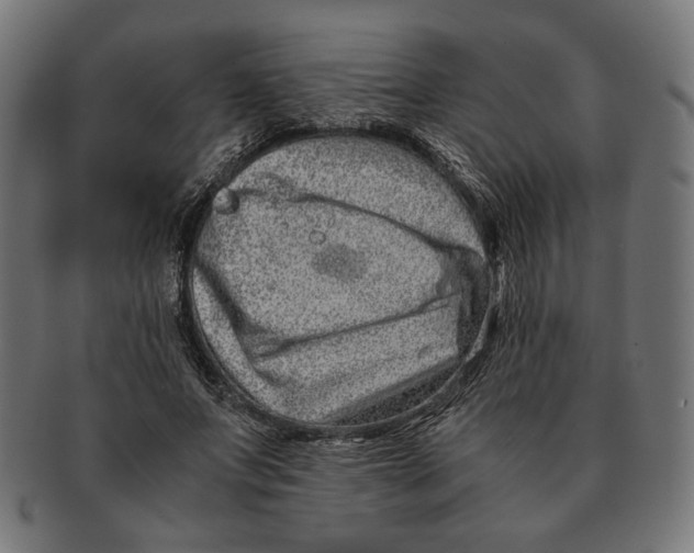 X0000091220687200709061500