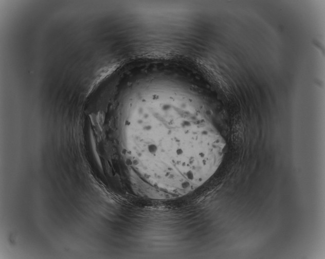 X0000091220688200709061500