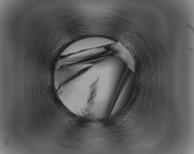 X0000091220689200709061500