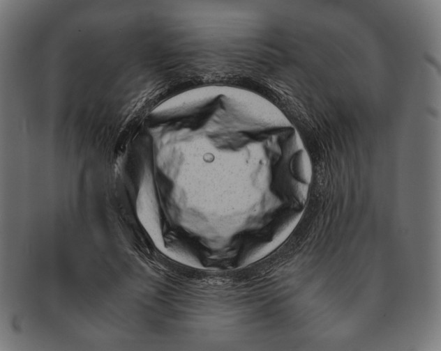 X0000091220691200709061500