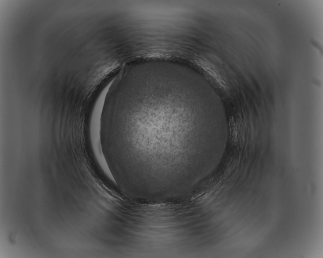 X0000091220692200709061500