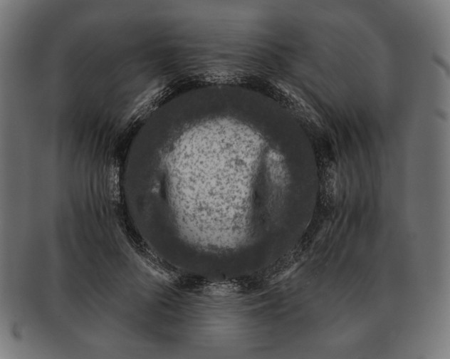 X0000091220696200709061500