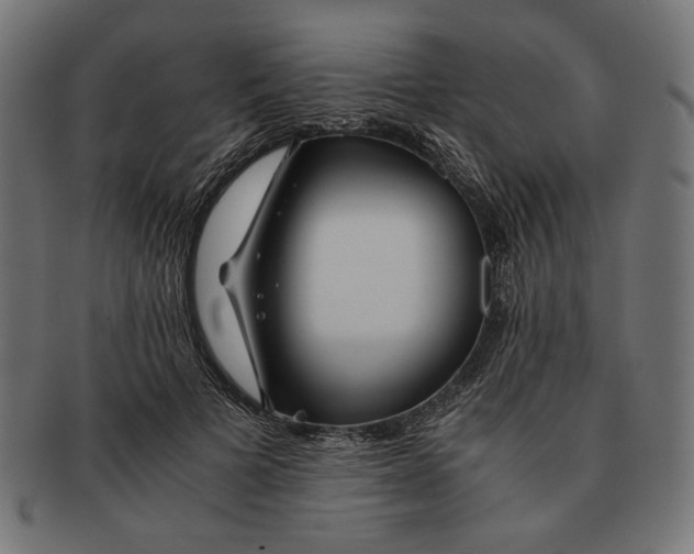 X0000091220697200709061500