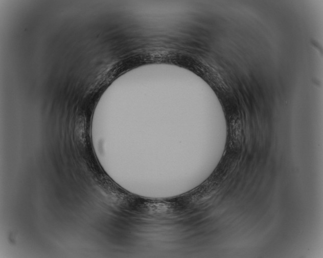 X0000091220698200709061500