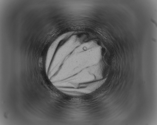 X0000091220699200709061500