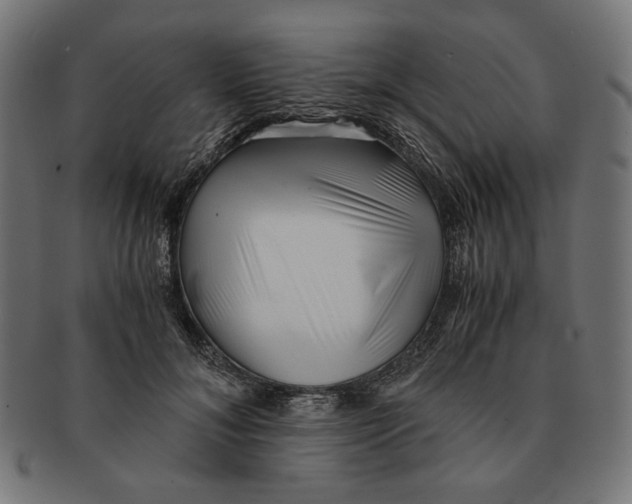 X0000091220700200709061500