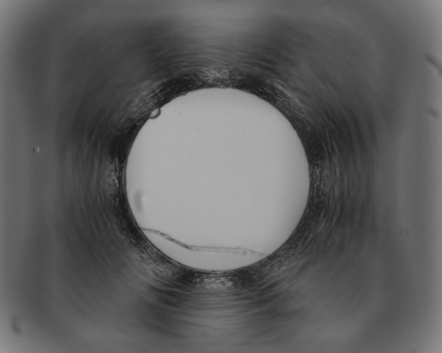 X0000091220702200709061500