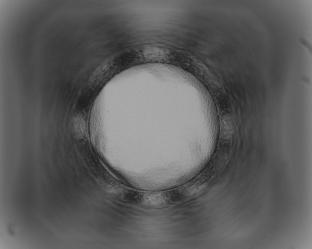 X0000091220705200709061500