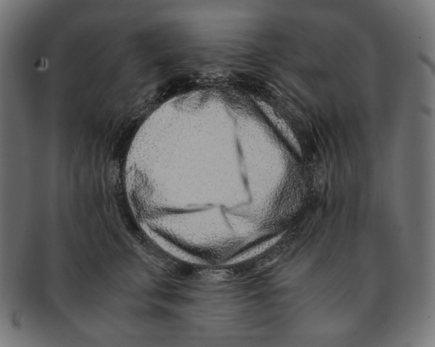 X0000091220711200709061500