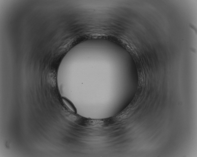 X0000091220719200709061459