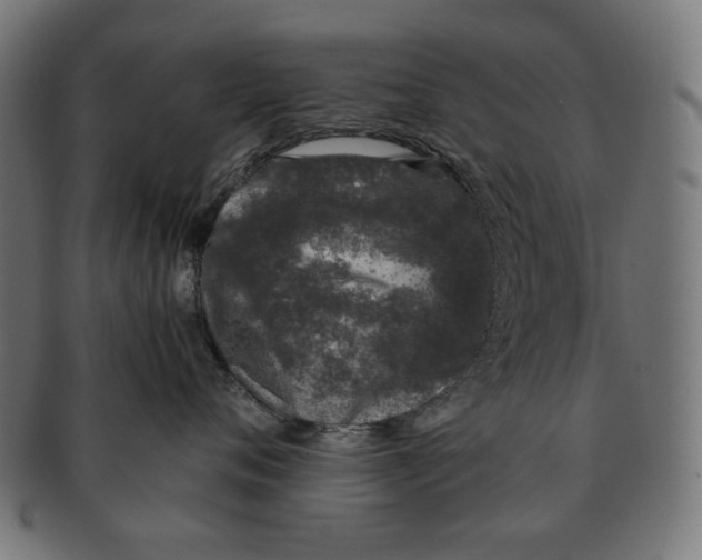 X0000091220720200709061459