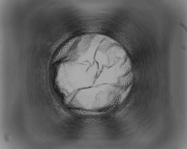 X0000091220721200709061459