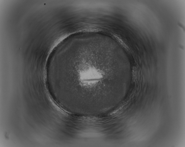 X0000091220726200709061459