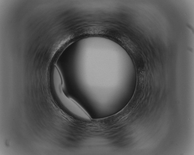 X0000091220727200709061459