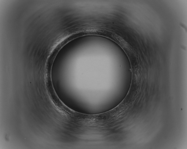 X0000091220728200709061459