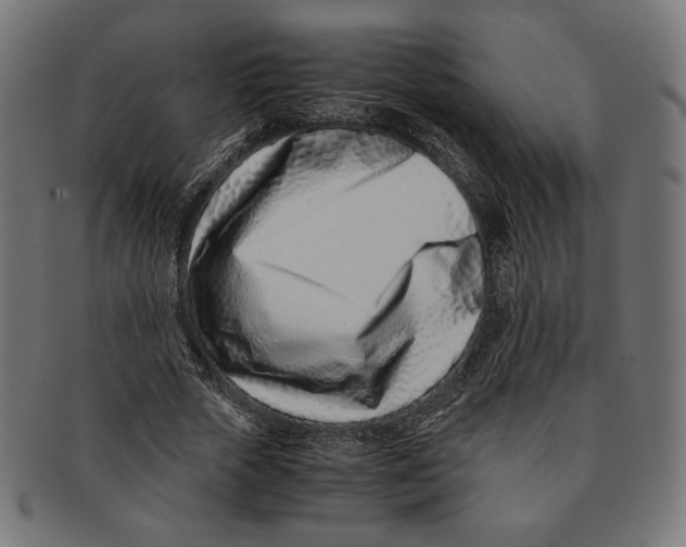 X0000091220729200709061459