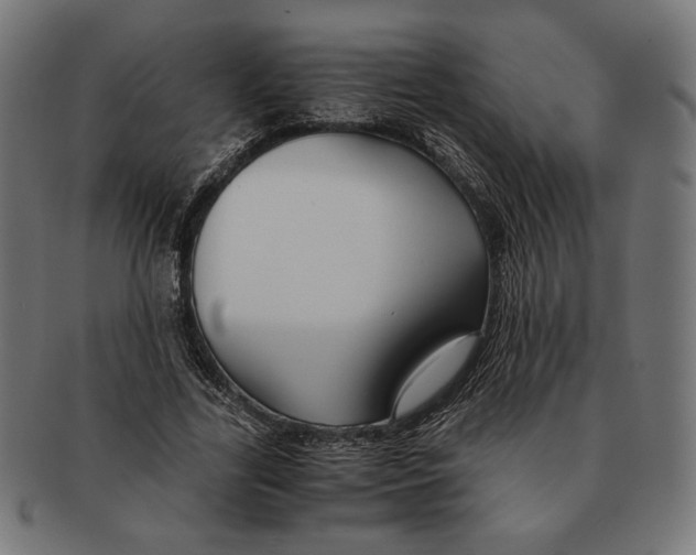 X0000091220731200709061459