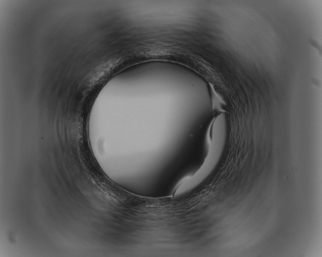 X0000091220732200709061459