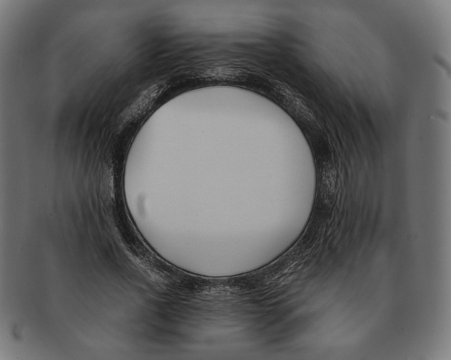 X0000091220734200709061459