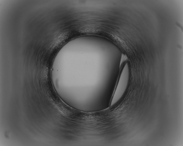 X0000091220735200709061459