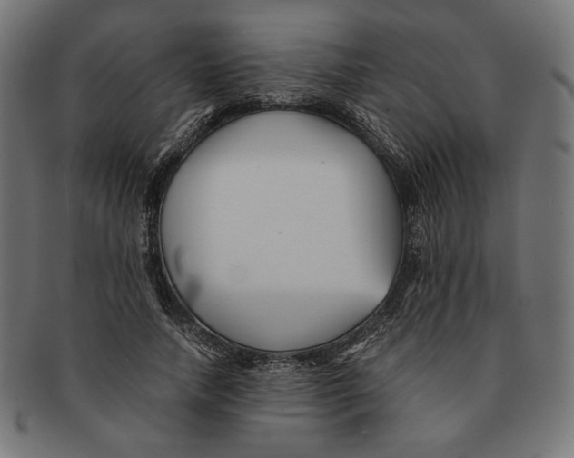 X0000091220738200709061459