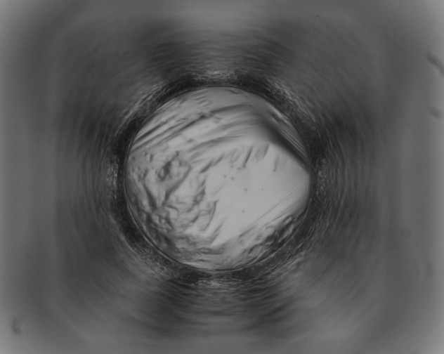 X0000091220739200709061459