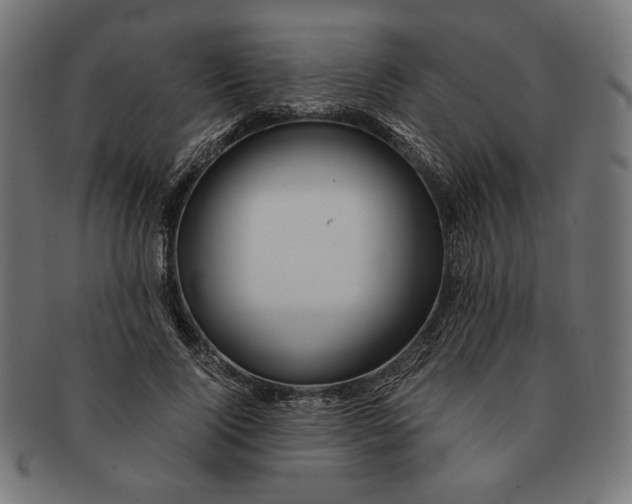 X0000091220740200709061459